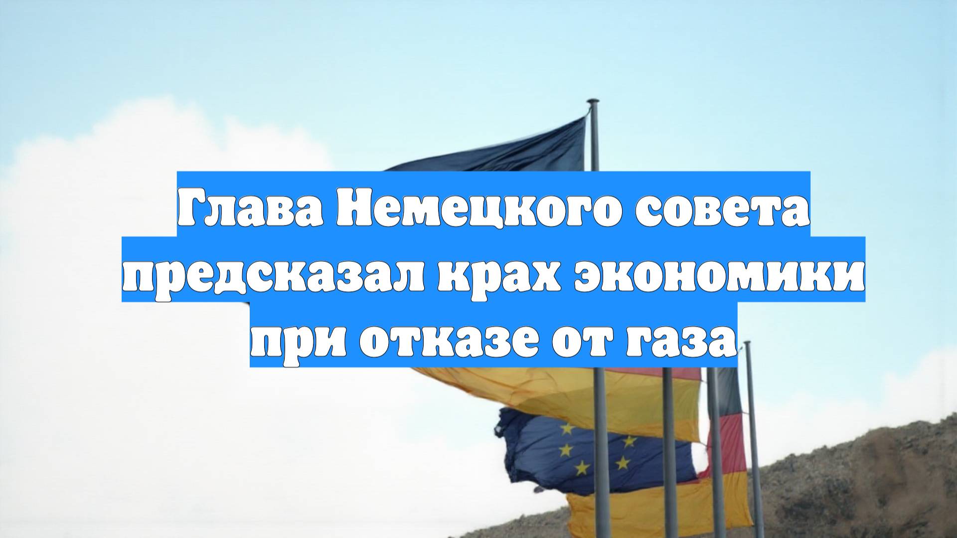 Глава Немецкого совета предсказал крах экономики при отказе от газа