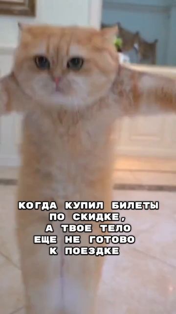А вы уже готовы к отпуску?