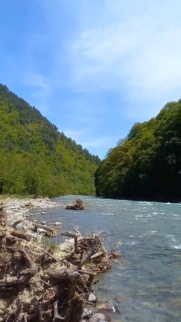 Широка река #видео #популярное #рек #природа #красота #вода #путешествия