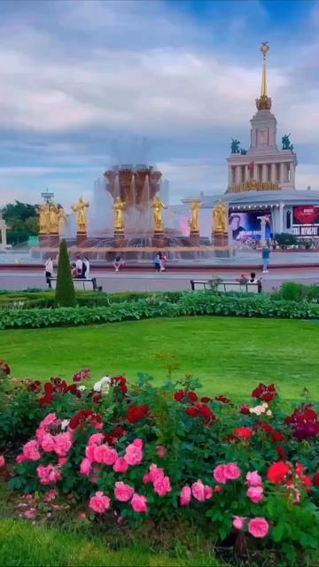 🌹Гигантские розы сейчас цветут на ВДНХ🌹