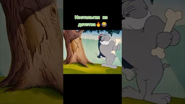 Проект улыбка