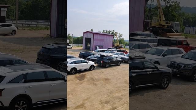 WolfCar38.mp4