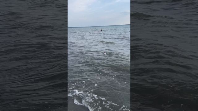 Плывучий катер по волнам