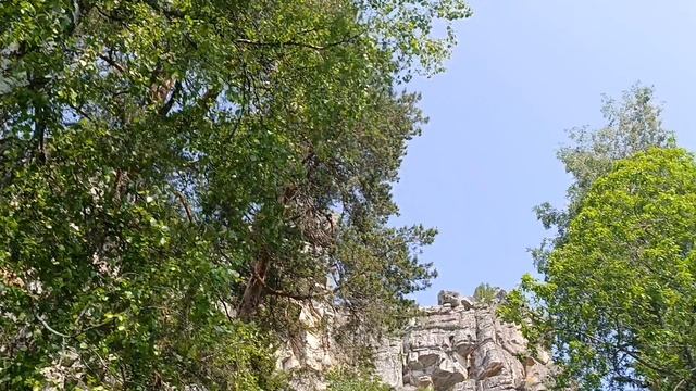 8. Гора 1 Малиновка (914 метров). Хребет Малидак. 7 июня 2025 года.