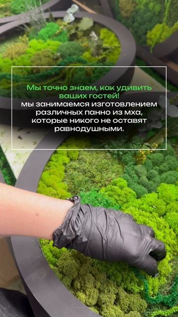 Изготовление картин, панно из стабилизированного мха