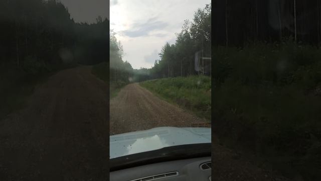 1000030333.mp4