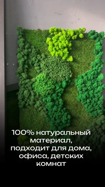 Картина из мха для дома, офиса, детской комнаты