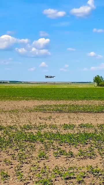 DJI MAVIC 2 pro Обследование густоты посевов сои #дрон #агродрон #agtech #dji #djimavic2pro #top
