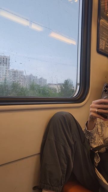 Едем на электричке из Московского зоопарка