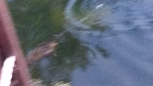 video_20250609_205417