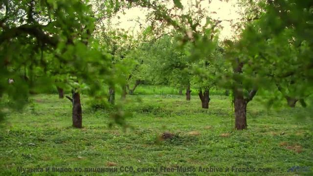 Это видео - как погружение в океан спокойствия! - EVERYTHING WILL BE ALRIGHT -- Pipe Choir -- The Wr