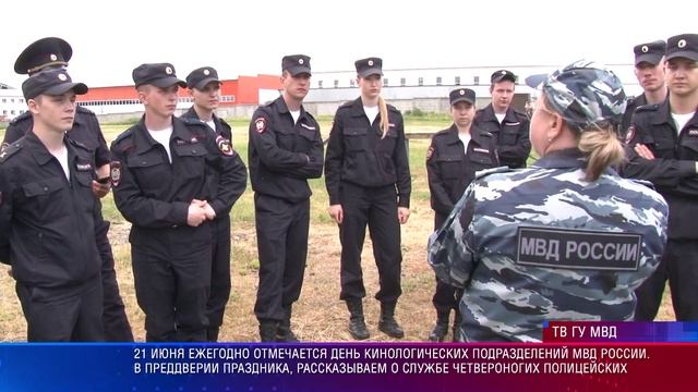 21 июня ежегодно отмечается День кинологических подразделений МВД России