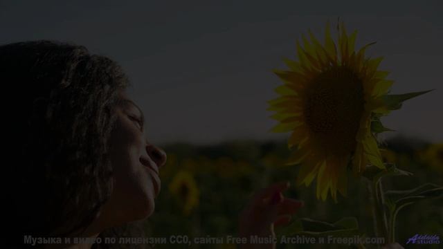 Музыка, которая превращает рассвет в волшебство! - Cest La Vie -- Derek Clegg -- The Best Of Number
