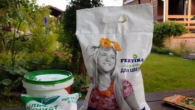 Обзор на дачные цветы часть (12)