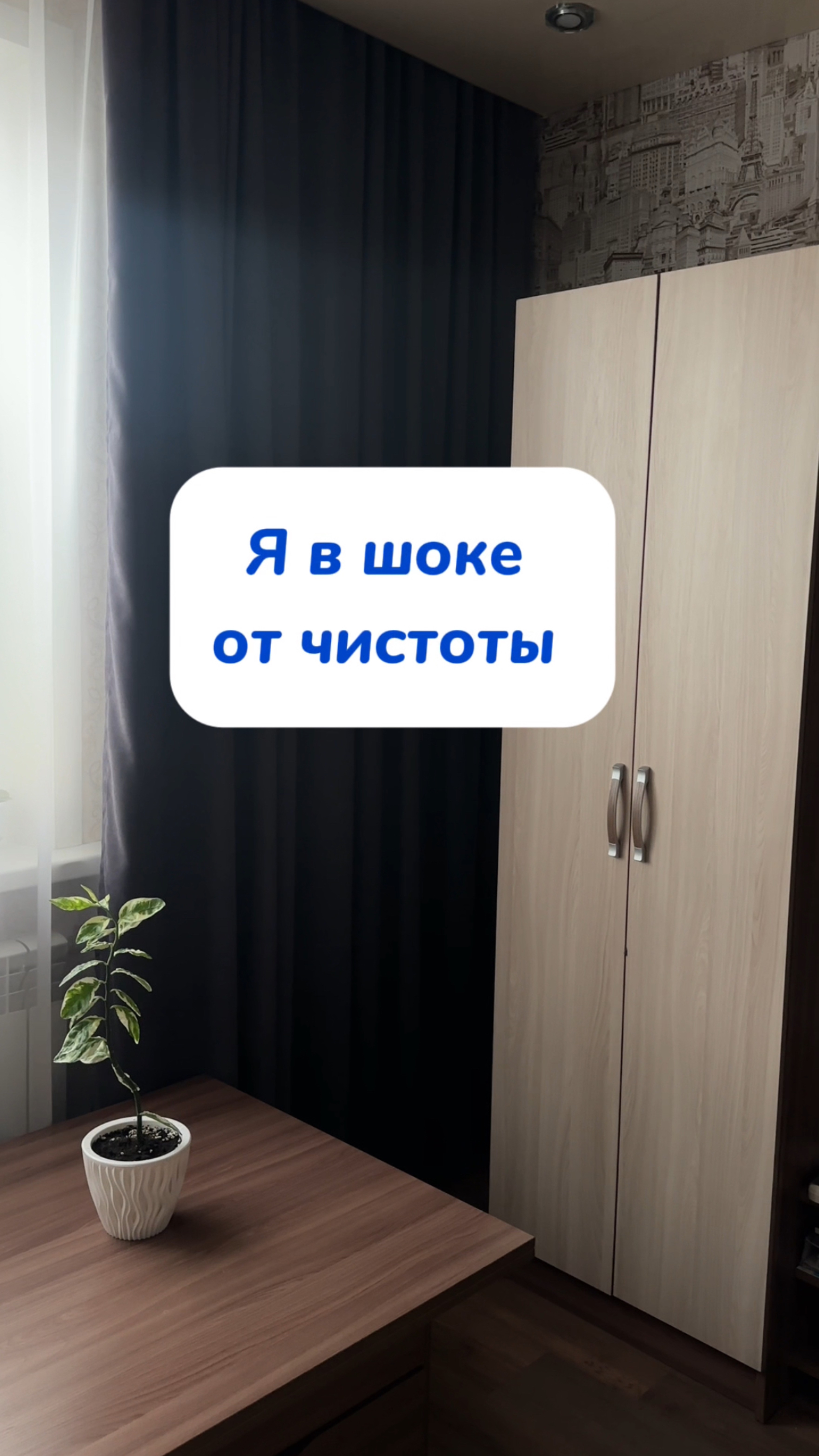 Привезла к маме пасту WB #234577722