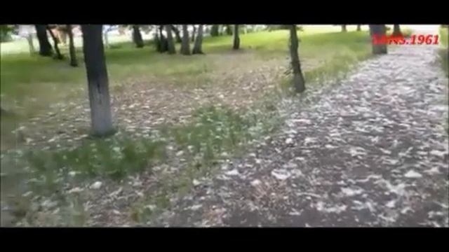 15июня. SANS.1961  2025 г.