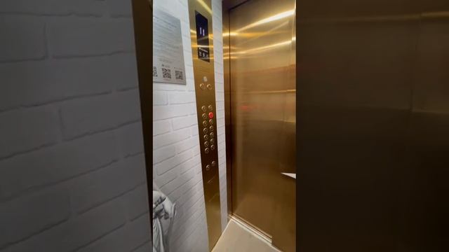 VID-20250619-WA0025.mp4