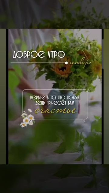 Доброе утро #доброеутро #благодарность