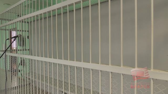 Наркосбытчицу задержали в Братске с крупной партией «синтетики»