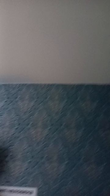1000001674.mp4