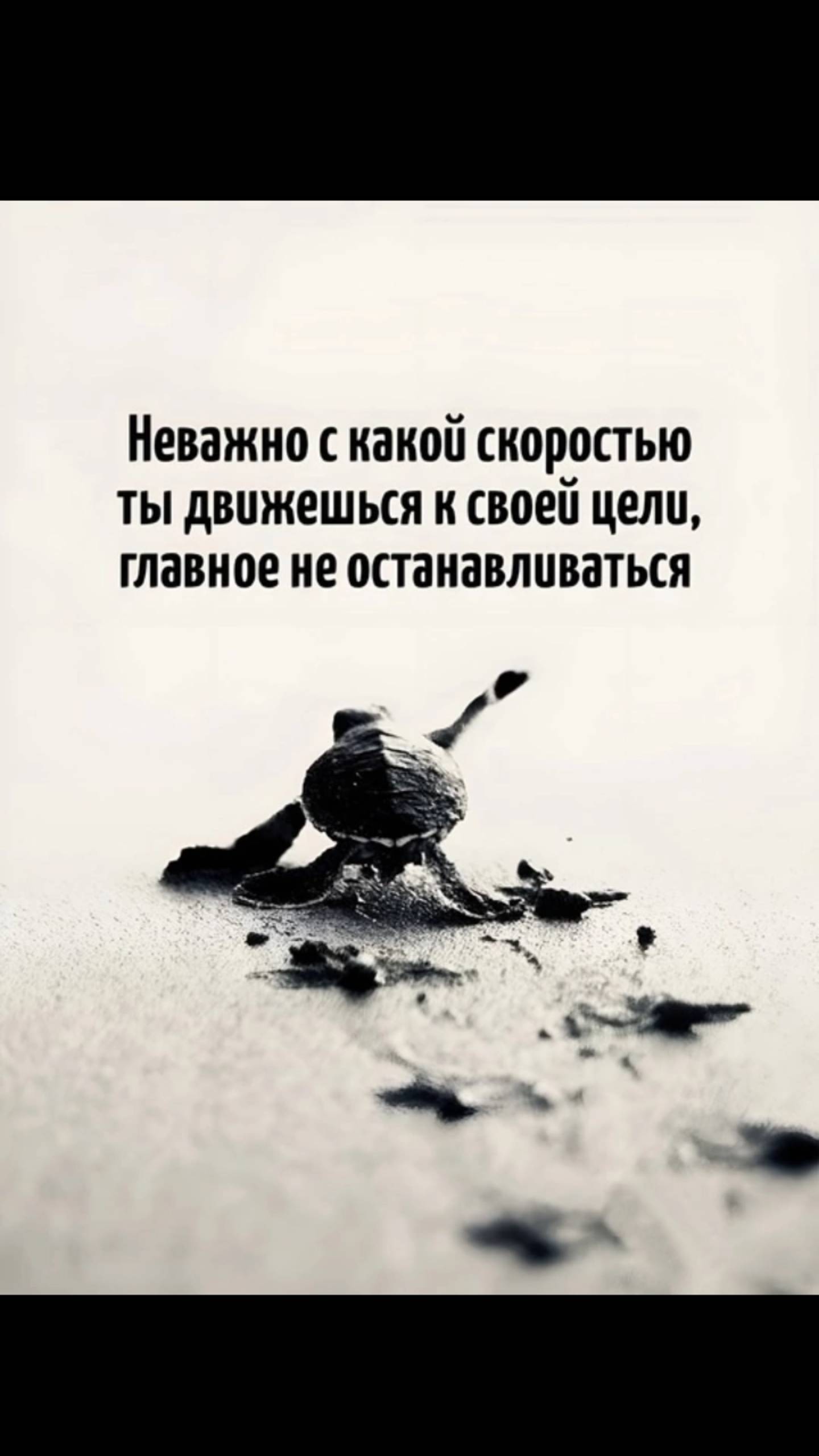 Первые Дивиденды этого лета