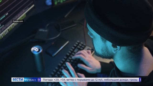 Фальшивые права, опасные деревья и 1,3 миллиона рублей мошенникам: сводка происшествий по Кузбассу