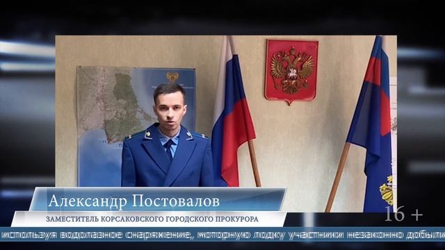 18.06.2025 Пятерым сахалинцам вынесен приговор за незаконную добычу трепанга