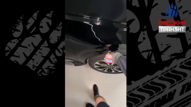 ✅Осмотр Kia Carnival / параллельный импорт авто / купить машину за границей