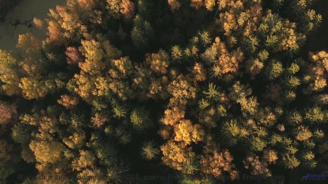 Сердце выскакивает, когда поля оживают вместе с музыкой - Making It Right -- Derek Clegg -- The Midd