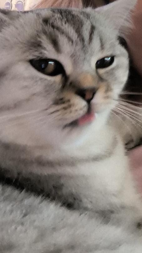 квд