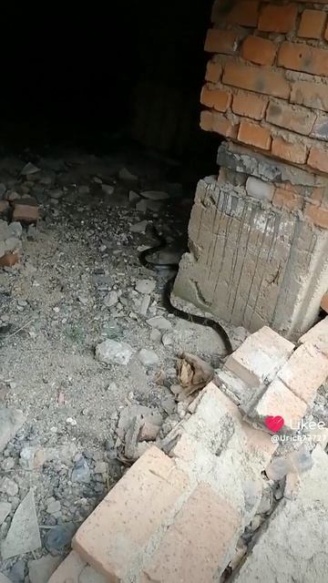 1000057868.mp4