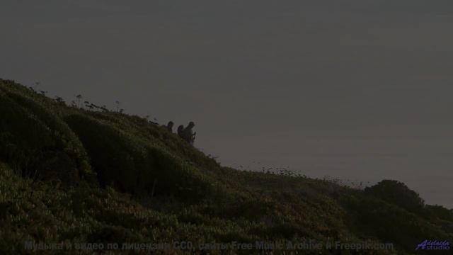 Поля становятся морем, а ноты - волнами - 20 Minute Meditation 1 -- HoliznaCC0 -- Space - Sleep - Me