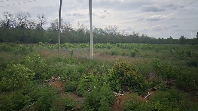 промка, шахты. полцены