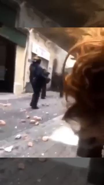 европолиДЗаи кидают камни