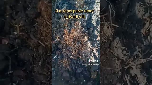 Делаю высокие грядки. Отсекаю землю от бревен поликарбонатом. часть 3. #высокиегрядки  #дача #огород