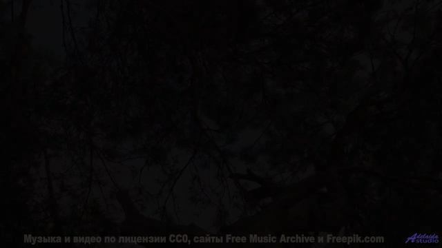 Музыка, написанная алгоритмом - сможете ли вы отличить от человеческой - The Golden Hollows (ID 1395