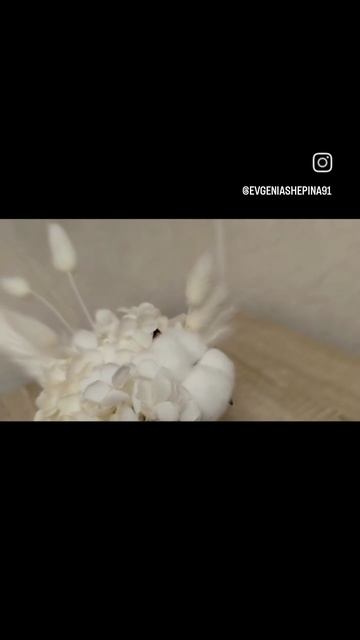 1000006159.mp4