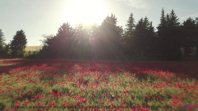 Эта мелодия раскрасит даже серые поля - Dying To Live -- Kirk Osamayo -- Season Two (BLUE)