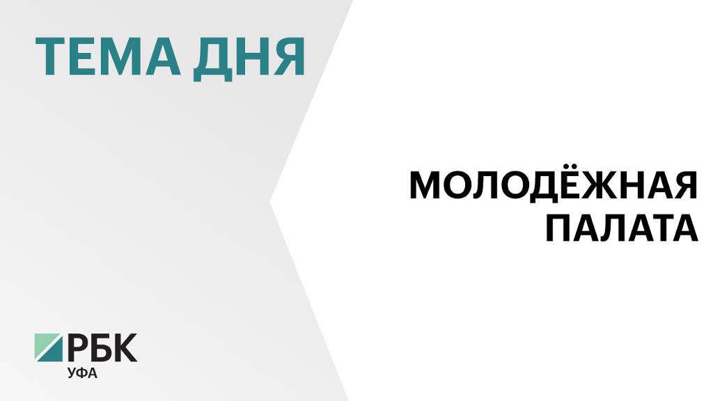 Полномочия Молодёжной общественной палаты Башкортостана увеличат до 5 лет