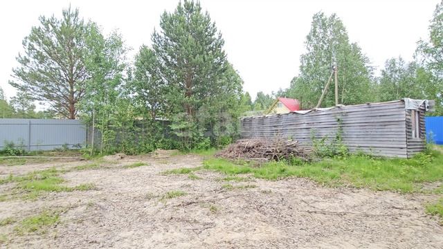 7751365 Возрождение