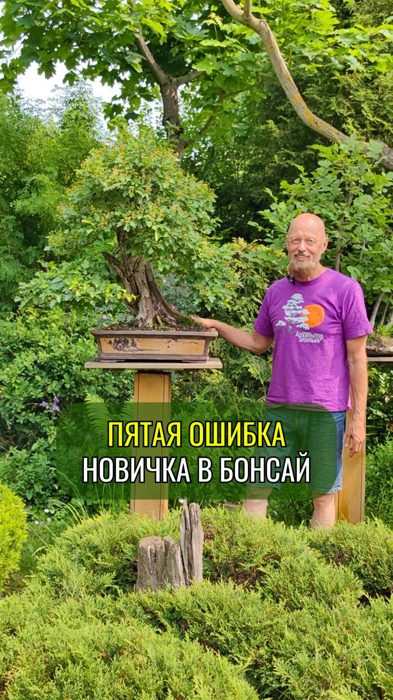 Пятая ошибка новичка в #бонсай