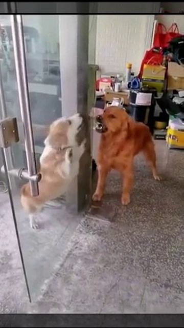 1000000364.mp4