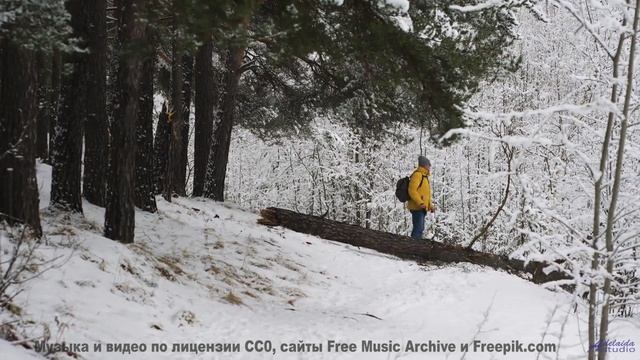 Эта мелодия написана вашей ДНК - услышьте код жизни! - Nothing (at all) to do with Igloos (It is for