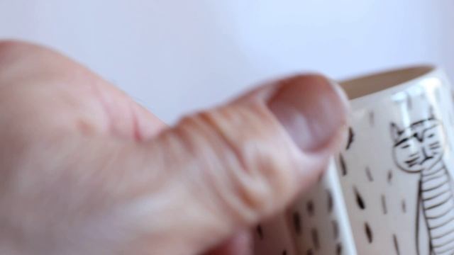 Котики под дождём.