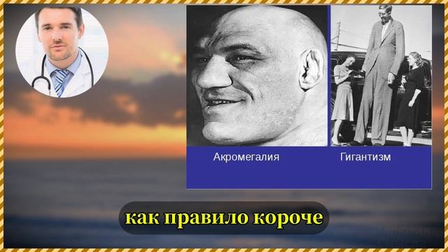 Меньше есть — дольше жить!