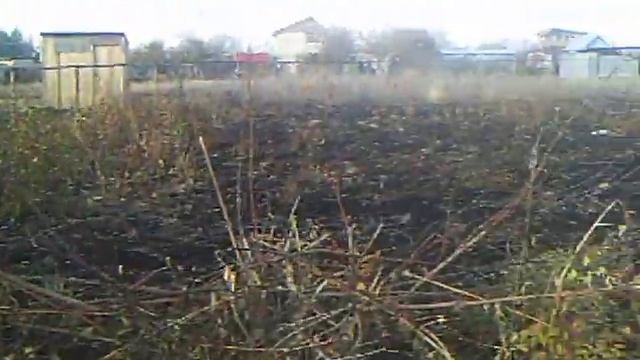 Сосед по ранчо Виталий