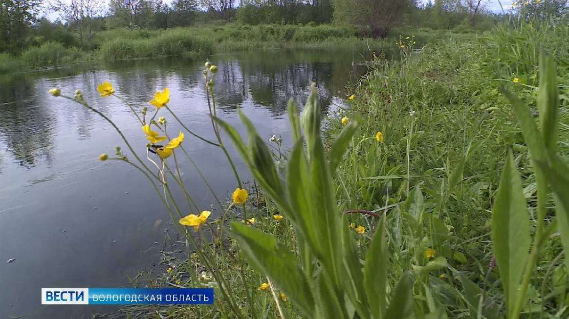 Вологодские спасатели рассказали о правилах безопасности на воде для детей