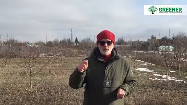 10 ГЛАВНЫХ ошибок при создании плодового сада. ЭТО ОЧЕНЬ ВАЖНО!