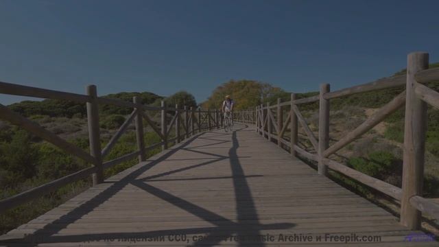 Музыка разрывает душу мягче любого ветра - Sneak -- A. A. Aalto -- Fest
