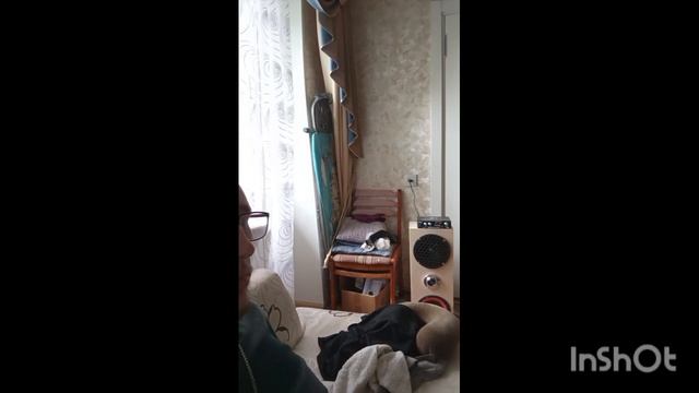колонку сам собрал